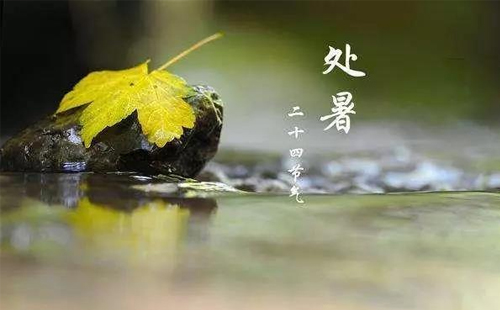 明日處暑，智啟新秋 —— 遠(yuǎn)達(dá)智能與您共